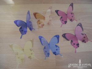 Papillon coloré sur papier rigide transparent